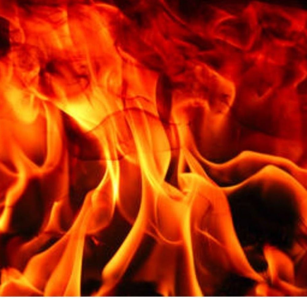 Meet your Posher, Camelia